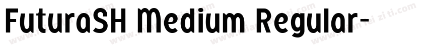 FuturaSH Medium Regular字体转换